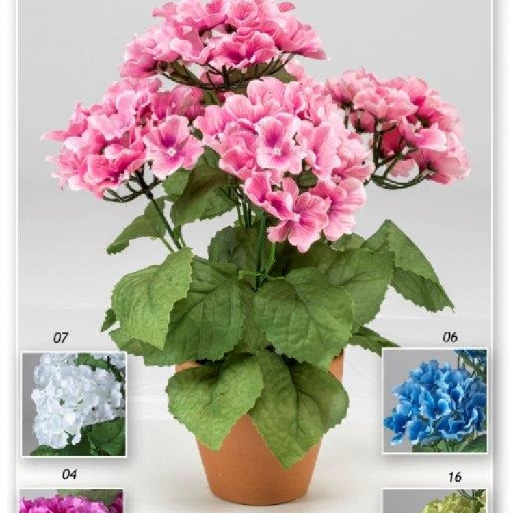 Maceta hortensia 40 cm. 